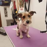 Olive Gager - @olivegager - Instagram