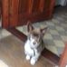 Olive Gallagher - Facebook
