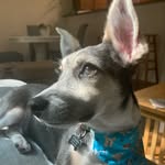 Olive Gardner - @lilolivegardner - Instagram