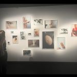 olive - @olivegilbert_ - Instagram
