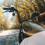 Olive Gold - @sportster__olivegold - Instagram