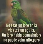 Olivé Gonzalez - Facebook
