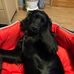 Olive Griffin - Facebook