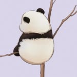 ZHANG CANMING - @olivegrimes691 - Instagram
