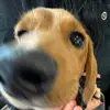 Olives are not gross - @olives_are_not_gross - TikTok