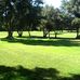 Olive Grove Park - Facebook