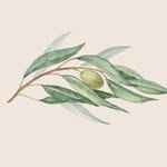 Olive Harmony - @oliveharmony.eo - Instagram