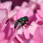 Nature & Wildlife Photography - @olivehartphotography - Instagram