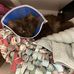 Olive Hart - Facebook