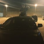 Oliver - @oliver.heady - Instagram