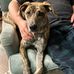 Olive Healy-Graves - Facebook