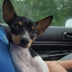 Olive Heller - @oliveyoumor3 - Instagram