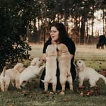 Kalani  Meta | Olive Hollow Golden Retrievers - @olive_hollow_goldens - Instagram