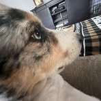 Olive Sheppars-Hoffmann - Facebook