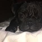 Olive May Holmes - @oneeyedolive - Instagram