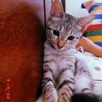 Olive & Howell - @olive.uwil - Instagram