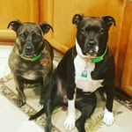 GG and Olive Hubbard - @gg.and.olive - Instagram