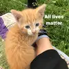 oliverboohubbard - @oliverboohubbard - TikTok