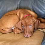 Olive Hudson Marran-Epee-Bounya - @olivethevizz - Instagram