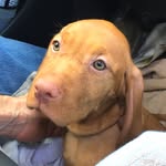 Olive Hudson-Moore - @seaside_olive - Instagram
