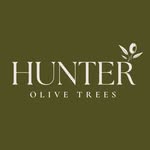 Hunter Olive Trees - @hunterolivetrees - Instagram
