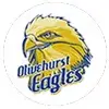 - o  l  i  v  e  h  u  r  s  t - @olivehurst.eagles - TikTok