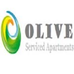 olive hyderabad - @olivehyderabad - Instagram