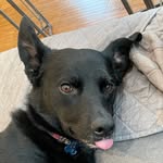 Olive Kennedy - @k.olive626 - Instagram