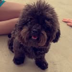 olive - @olivekennedy_ - Instagram