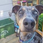 Olive Knight - @oliveknightt - Instagram