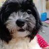 olivemayor8 - @olivemayor8 - TikTok