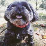 Olive Mills - @olive.mills - Instagram