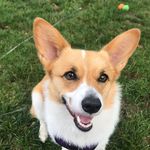 Olive Monroe - @olivemonroecollective - Instagram