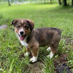 Olive Dakota Ruth Alderson-Nelson - @irresistibleolive - Instagram