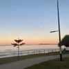 Olive Roach - @olive.roach13 - TikTok