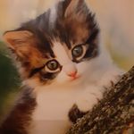 Olive Roach - @_olive_roach_ - Instagram