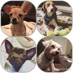 Lillian•Rhoades•Olive•Russell - @lillianrhoadesoliverussell - Instagram