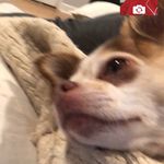 Olive Russell - @olivina_russellthe1st - Instagram