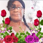 Olive Shepherd - @oliveshepherd2 - Instagram