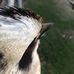 Oliver Sheppard - Facebook