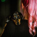Olive - @oliveshortlegs - Instagram