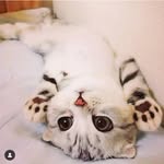Oliver Silver - @oliver.silver_ - Instagram