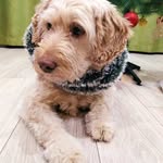 @olive.simmons.0087429 - Instagram