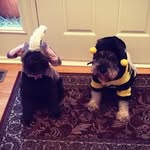 Olive & Simon - @olive_and_simon - Instagram