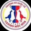 Tùng Đặng Mộc Hoá - @olivesimon19716 - TikTok