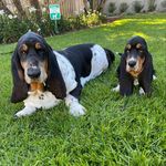 Olive and Pepper Snider - @olivenpep - Instagram
