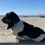 Olive Snider - @adorable.olive8 - Instagram