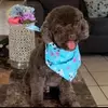 Oliver Soto - @oliversoto87 - TikTok