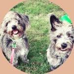 Olive + Stanley - @oliveandstanley - Instagram