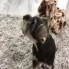 olivestanley - @olivestanley - TikTok